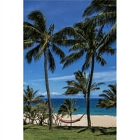 Posteranzi DPI12305830Lage Hammock visi između dvije palme na plaži s plavim nebom i oceanskom posterom