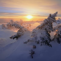 Pogled na stabla natkrivene snegom u Mont Loganu na Sunriseu, Quebec, Kanada Poster Print
