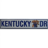 - Kentucky Drive Dr Street znak - ST20020