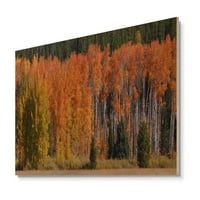 Art DesimanArt 'Fall Trees Panorama' Country Wood Wall Art Ploče - prirodno borovo drvo u. širom unutra.