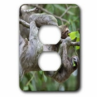 Brown-Throited Sloth Wildlife, Corcovado Kostarika - SA JGS - Jim Goldstein utikač Outlet Conpor LSP-87169-6