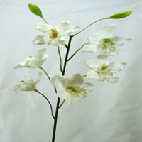 Visoki široki cimbidijum orhidejni sprej za pohvale prekrasne cvijeće i pupoljke