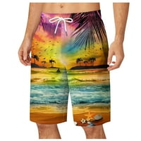 Hlače Muške kratke hlače Ljetni odmor Havajski casual lagane muške kratke hlače vlage Wicking muški