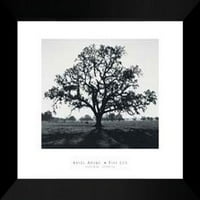 Frametowall - Ansel Adams uokvirena umjetnička print Oak drveće izlazak sunca