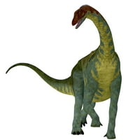 Jobaria Dinosaur, pogled sprijeda. Jobaria je bio biljojedi Sauropod dinosaur koji je živio u jurskom