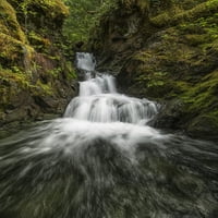 Neimenovani potok i vodopad, Pokrajinski park Strathcona; British Columbia, Kanada Poster Print