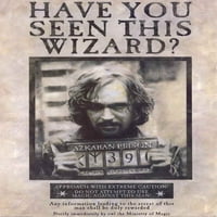 Harry Potter i zatvorenik Azkabana Movie Poster Print - artikl Movad0975