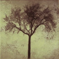 Tree Silhouette Poster Print Taylor Greene