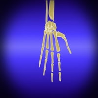 Konceptualna slika kostiju u ljudskom ručnom plakatu Ispis