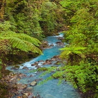 Mali stream ili potok-Kostarica Rica Print - Adam Jones