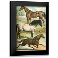 Johnson, Henry J. Crni moderni uokvireni muzej umjetnički print pod nazivom - Johnsons Horse pasmina