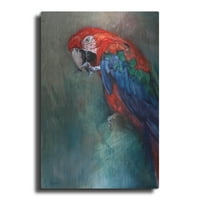Luxe Metal Art 'Aw Macaw' by Robert Campbell, Metalna zida Art, 12 x16