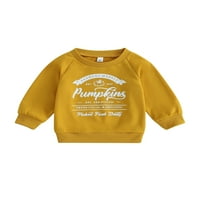 Bagilaanoe Toddler Baby Girl Boy Halloween Duks dugih rukava Pismo bundeve pulover 3T 4T 5T Djeca padaju lise