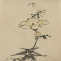 Ispis: žuti cvijet sa pupoljkom na stabljici iznad lišća, oko 1830
