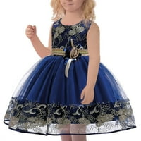 Rovga Toddler Djevojka haljina odjeća Nova dječja haljina čipke vjenčane suknje princeze haljine prisustvovali