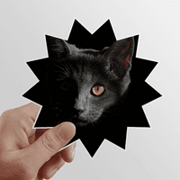 Crna mačka životinja zagleda tamno sunce vinil naljepnice prtljage grafiti cvjetni naljepnica