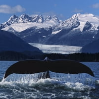 Humpback Whale Rep ispred glacier kompozitnog plakata ispisa