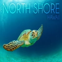Sjeverna obala, Havaji, Havaji, Morska kornjača Plivanje