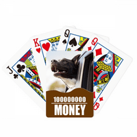 Crna pse životinja fotografija slika poker igračka karta smiješna ručna igra