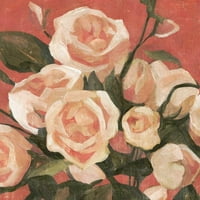 Caroline, Emma crni moderni uokvireni muzej umjetnički print pod nazivom - Rose Tangle II