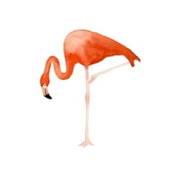 Lucille crna modernog uokvirenog muzeja Art Print pod nazivom - Stojeći flamingo