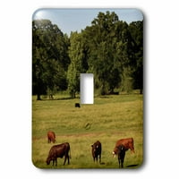 3Droza polje sa kravama - Jednokrevetni prekidač