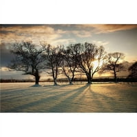 Posteranzi DPI Northumberland England - Sunce Postavka preko polja i stabla Poster Print, 12