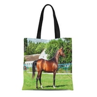 Platno tota torba Natural Horse Kolekcija kućnih ljubimaca Anakondasp Ride Love Reusable torba na rame