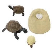 Podesite modele ciklusa rasta kornjače simulirane kornjače ukrašene kognitivne igračke
