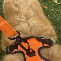 Entuzijast zupčanik najlonski pas povodac sa zaključavanjem karabinerom za velike i srednje pasmine