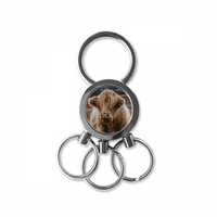 m životinjski bivolski bivol od nehrđajućeg čelika metalni lančani prsten za ključeve za ključeve za ključeve