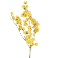 Vickerman 13.5-17 Žuta paketa cvijet kara, sačuvana