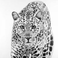Leopard spreman za napad na poster Print Atelier B Art Studio