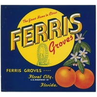 Anonimni crni ukrašeni uokvireni dvostruki matted muzej umjetnički print pod nazivom: Ferris Groves Citrus etiketa