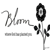 Bloom Poster Print - Annie Lapoint