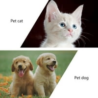 Dvokrevetna dizajna CAT Hrana posuda za kućne ljubimce Kontejner za hranu Praktična posuda za pse Anti-skid
