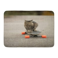 Coon siva blesana mačka na električnoj ploči skejtboard maine prostirke vrata prtljažnika 23.6x