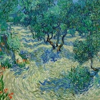 Poster Olive Orchard Print Vincent Van Gogh