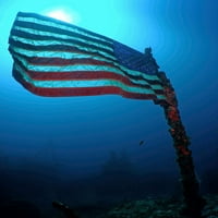 Američka zastava na potopljenom brodu u ključu Largo, Florida Poster Print Brent Barnes Stocktrek Images