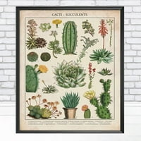 Aluminijski metalni znak Dekor kaktuse i sukulenti Znanje Vingtage Sukulenti Poster Print Art Plants