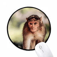 MONKEY Animal Mouse Pad Desktop Office Round Mat za računar