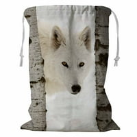 Arktički vuk viđen između dva stabla u zimskoj košarici za pranje rublja sa crtežom