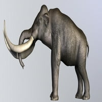 Kolumbijski mamut živio je tokom kvartarnog razdoblja pjesama sjevernog i srednje Amerike