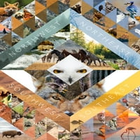 Sjevernoamerički kolaž za divlje životinje, foto kolaž