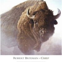 Šef Robert Bateman Buffalo Bison WildLife Art Print Plaster, Ukupna veličina: 26x28, Veličina slike: