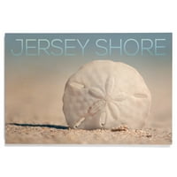 Jersey Shore, Sand Dollar na plaži Birch Wood Wall znak
