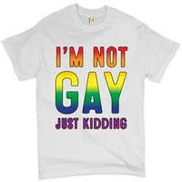 Tee Hunt Nisam gej samo šalim majica Ljubav je ljubav gej dugina smiješna muški tinejdžer, bijeli, mali