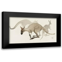Hoytema, Theo Van Crni moderni uokvireni muzej Art Print pod nazivom - kengur