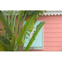 Posterazzi PDDCA05WBI Palme i ananas Kapci Detaljni Great Abaco Island Bahami Print Walter Bibikow