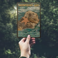 Monterey Bay, California, Otter, mozaik